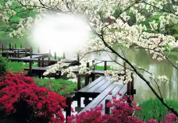 Foto Effekt från kategori Kvinna Fotoramar № 50653