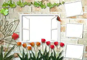 Foto Effekt från kategori Kvinna Fotoramar № 53297