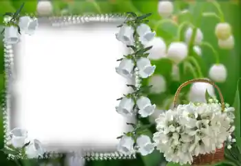 Foto Effekt från kategori Kvinna Fotoramar № 53368