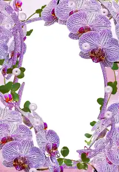 Foto Effekt från kategori Kvinna Fotoramar № 5465