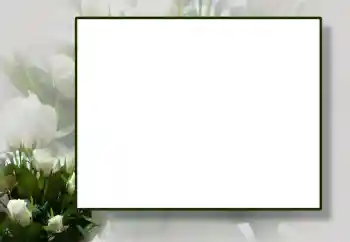 Foto Effekt från kategori Kvinna Fotoramar № 55444 Foto Effekt från kategori Kvinna Fotoramar № 55444