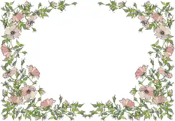 Foto Effekt från kategori Kvinna Fotoramar № 55495 Foto Effekt från kategori Kvinna Fotoramar № 55495