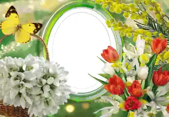 Foto Effekt från kategori Kvinna Fotoramar № 56529 Foto Effekt från kategori Kvinna Fotoramar № 56529