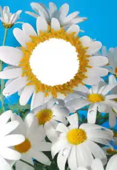 Foto Effekt från kategori Kvinna Fotoramar № 56606 Foto Effekt från kategori Kvinna Fotoramar № 56606