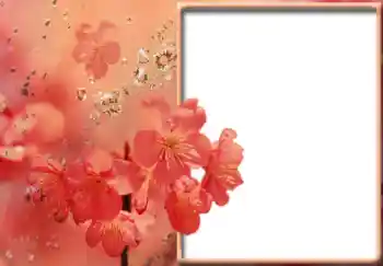 Foto Effekt från kategori Kvinna Fotoramar № 57711 Foto Effekt från kategori Kvinna Fotoramar № 57711