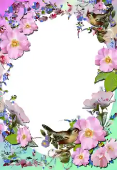 Foto Effekt från kategori Kvinna Fotoramar № 58779 Foto Effekt från kategori Kvinna Fotoramar № 58779