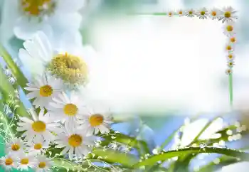 Foto Effekt från kategori Kvinna Fotoramar № 59087 Foto Effekt från kategori Kvinna Fotoramar № 59087