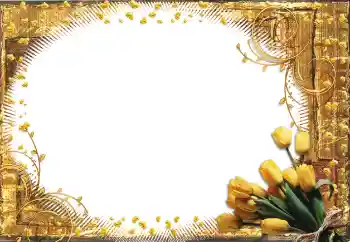 Foto Effekt från kategori Kvinna Fotoramar № 60398 Foto Effekt från kategori Kvinna Fotoramar № 60398