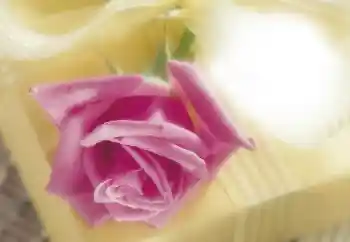 Foto Effekt från kategori Kvinna Fotoramar № 64263 Foto Effekt från kategori Kvinna Fotoramar № 64263