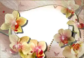 Foto Effekt från kategori Kvinna Fotoramar № 64386 Foto Effekt från kategori Kvinna Fotoramar № 64386