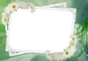 Foto Effekt från kategori Kvinna Fotoramar № 68583 Foto Effekt från kategori Kvinna Fotoramar № 68583