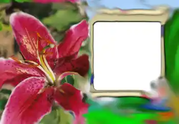 Foto Effekt från kategori Kvinna Fotoramar № 69843 Foto Effekt från kategori Kvinna Fotoramar № 69843