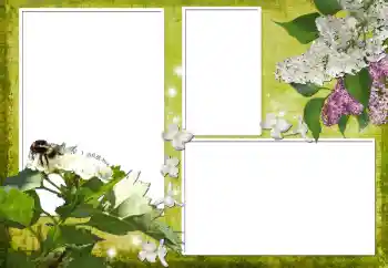 Foto Effekt från kategori Kvinna Fotoramar № 70903 Foto Effekt från kategori Kvinna Fotoramar № 70903