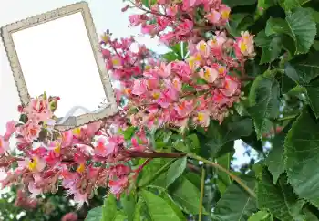 Foto Effekt från kategori Kvinna Fotoramar № 72109 Foto Effekt från kategori Kvinna Fotoramar № 72109