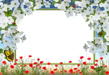 Foto Effekt från kategori Kvinna Fotoramar № 72133 Foto Effekt från kategori Kvinna Fotoramar № 72133