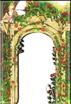 Foto Effekt från kategori Kvinna Fotoramar № 7510