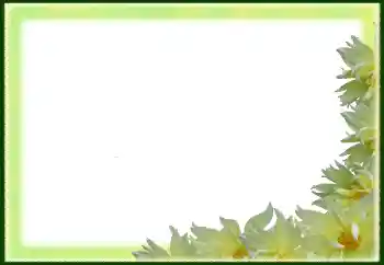 Foto Effekt från kategori Kvinna Fotoramar № 79029 Foto Effekt från kategori Kvinna Fotoramar № 79029