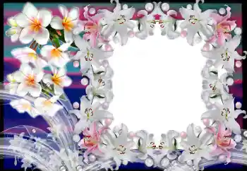 Foto Effekt från kategori Kvinna Fotoramar № 80383