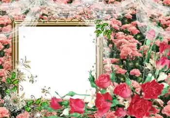 Foto Effekt från kategori Kvinna Fotoramar № 80390 Foto Effekt från kategori Kvinna Fotoramar № 80390