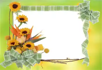 Foto Effekt från kategori Kvinna Fotoramar № 81823 Foto Effekt från kategori Kvinna Fotoramar № 81823