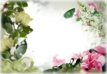 Foto Effekt från kategori Kvinna Fotoramar № 85356 Foto Effekt från kategori Kvinna Fotoramar № 85356