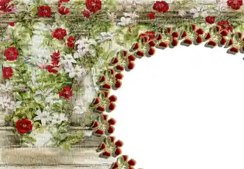 Foto Effekt från kategori Kvinna Fotoramar № 85429 Foto Effekt från kategori Kvinna Fotoramar № 85429