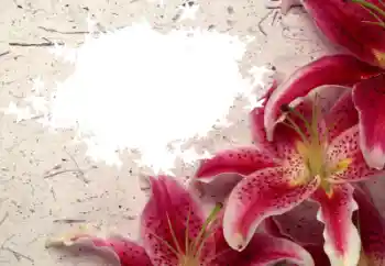 Foto Effekt från kategori Kvinna Fotoramar № 8596 Foto Effekt från kategori Kvinna Fotoramar № 8596