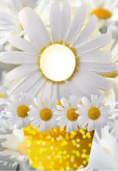 Foto Effekt från kategori Kvinna Fotoramar № 91798