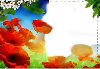 Foto Effekt från kategori Kvinna Fotoramar № 93217