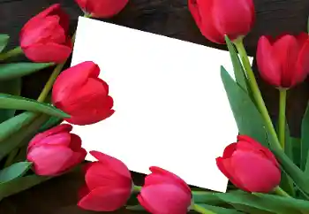 Foto Effekt från kategori Kvinna Fotoramar № 93458