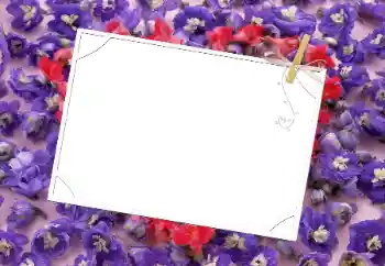 Foto Effekt från kategori Kvinna Fotoramar № 9481