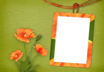 Foto Effekt från kategori Kvinna Fotoramar № 94833