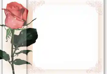 Foto Effekt från kategori Kvinna Fotoramar № 96405