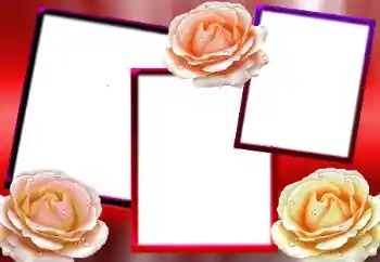 Foto Effekt från kategori Kvinna Fotoramar № 9712 Foto Effekt från kategori Kvinna Fotoramar № 9712