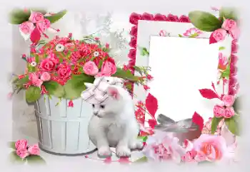 Foto Effekt från kategori Kvinna Fotoramar № 97470 Foto Effekt från kategori Kvinna Fotoramar № 97470