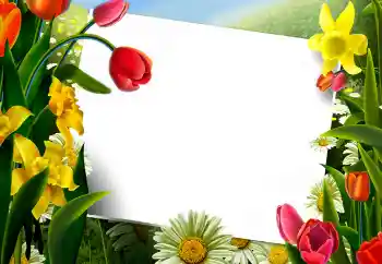 Foto Effekt från kategori Kvinna Fotoramar № 9867 Foto Effekt från kategori Kvinna Fotoramar № 9867