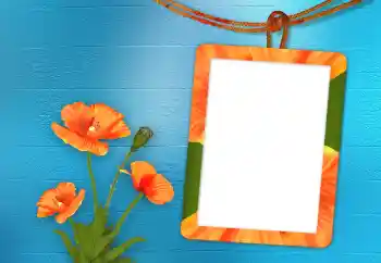 Foto Effekt från kategori Kvinna Fotoramar № 98705