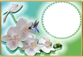 Foto Effekt från kategori Kvinna Fotoramar № 99814